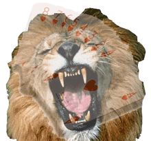 Giochi d'azzardo on-line